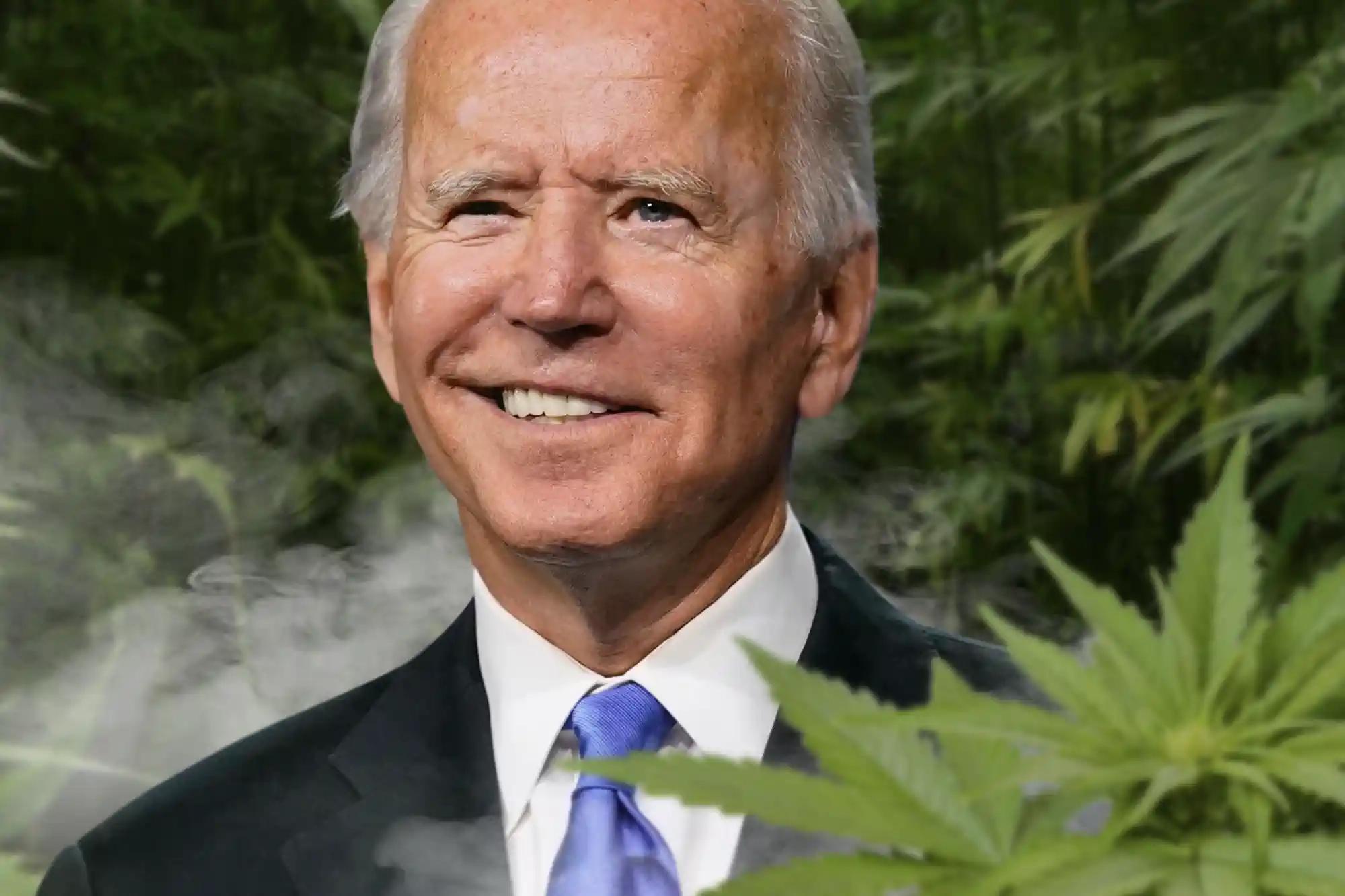 marijuana drug in background check